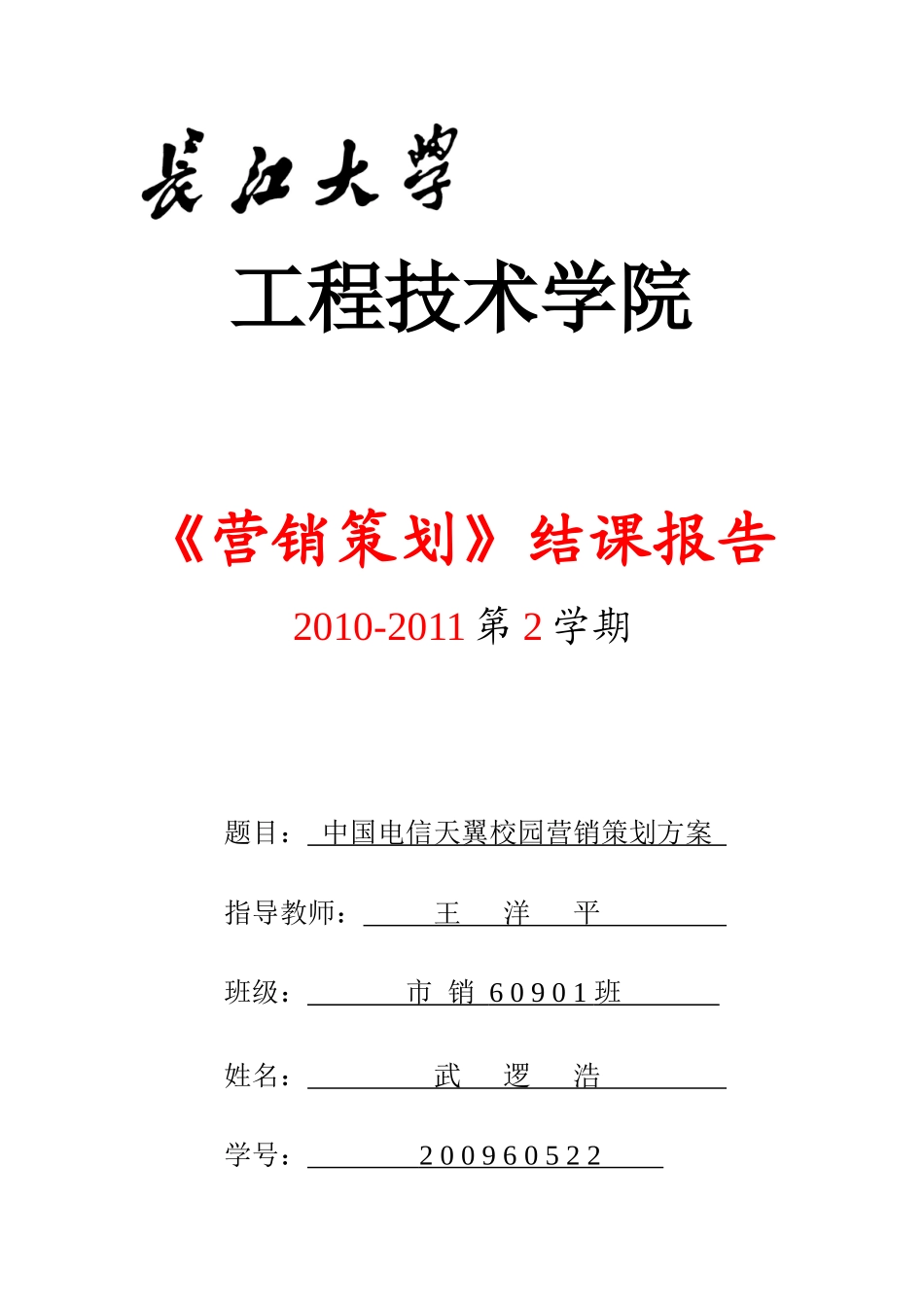 中国电信天翼营销策划方案_第2页
