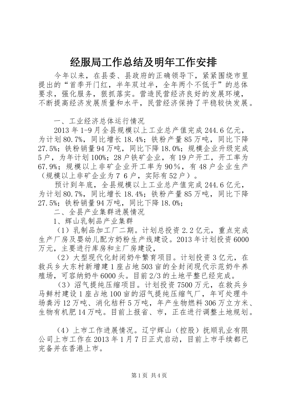 经服局工作总结及明年工作安排_第1页