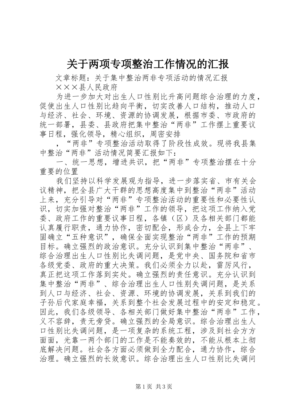 关于两项专项整治工作情况的汇报 _第1页
