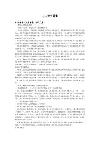 CES销售计划方案