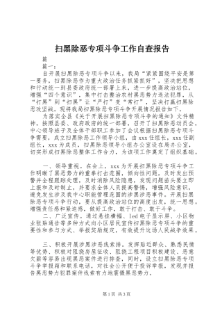 扫黑除恶专项斗争工作自查报告 