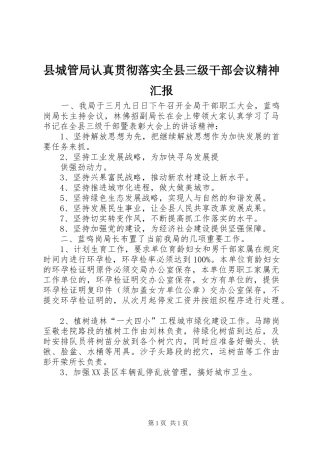 县城管局认真贯彻落实全县三级干部会议精神汇报 