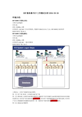 ERP服务器PRIV工作模式分析