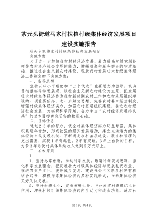 茶元头街道马家村扶植村级集体经济发展项目建设实施报告 
