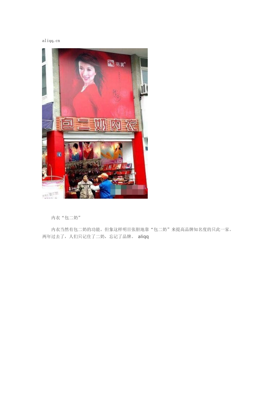 中国八个涉嫌“二奶”的广告_第3页