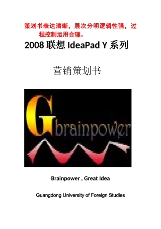 ok-Brainpower——IdeaPad营销策划书
