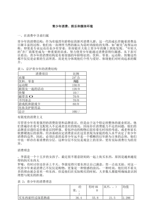 市场营销书籍集萃0266-青少年消费娱乐和媒体环境