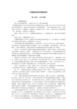 天狮集团营销策略报告