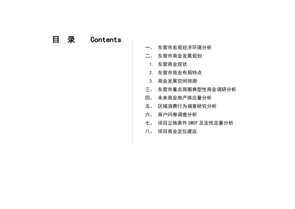 山东东营市商业市场调研_第2页