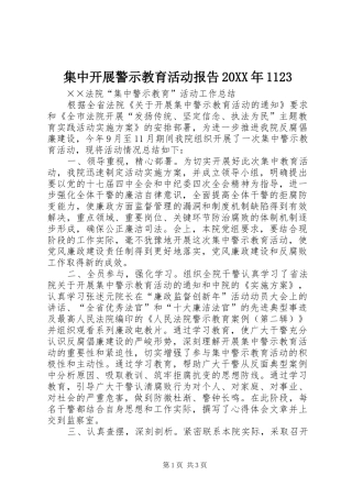 集中开展警示教育活动报告20XX年1123 (3)