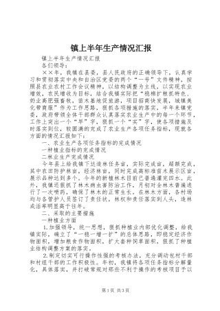 镇上半年生产情况汇报 