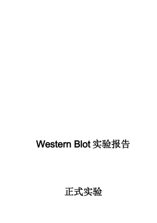 WB技术服务报告模板