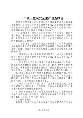 下口镇卫生院安全生产自查报告 