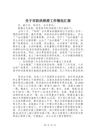 关于市防洪排涝工作情况汇报 