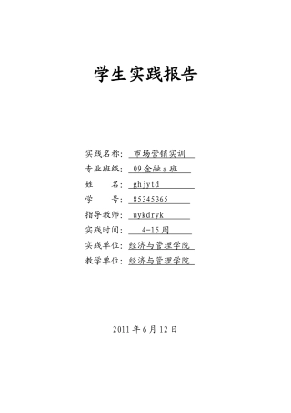 市场营销实践报告