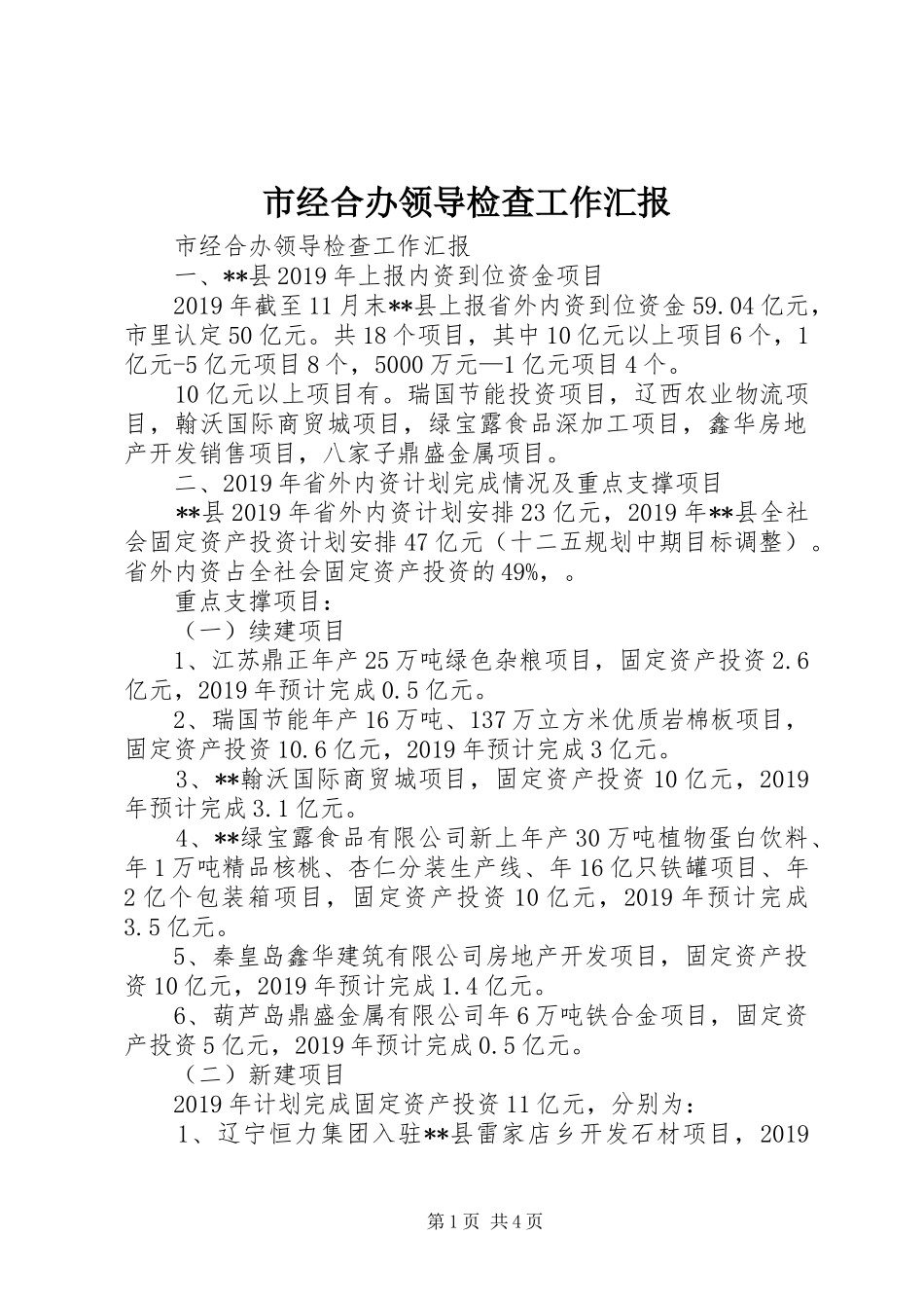 市经合办领导检查工作汇报 _第1页