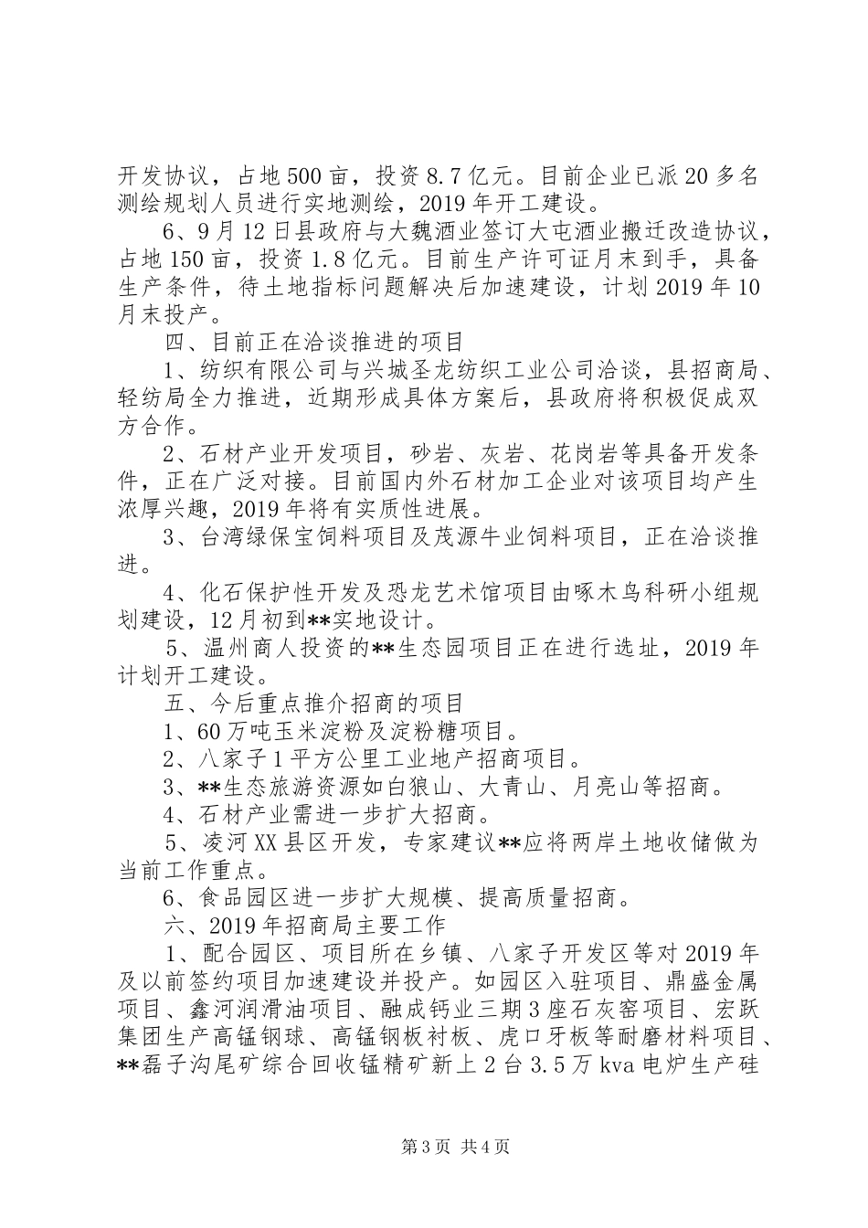 市经合办领导检查工作汇报 _第3页