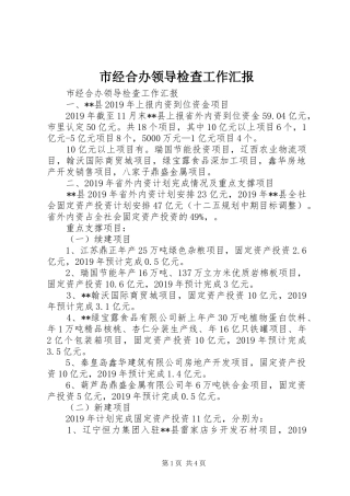 市经合办领导检查工作汇报 