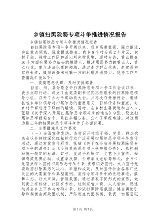 乡镇扫黑除恶专项斗争推进情况报告 
