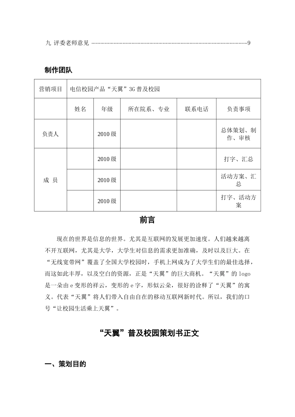 天翼市场营销策划_第3页