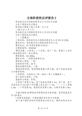 主体阶段性自评报告2