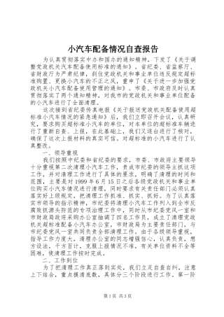 小汽车配备情况自查报告 