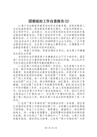 团委综治工作自查报告