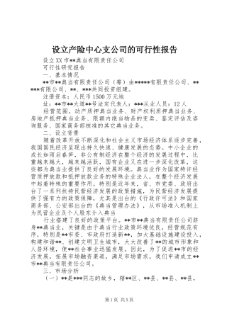 设立产险中心支公司的可行性报告 
