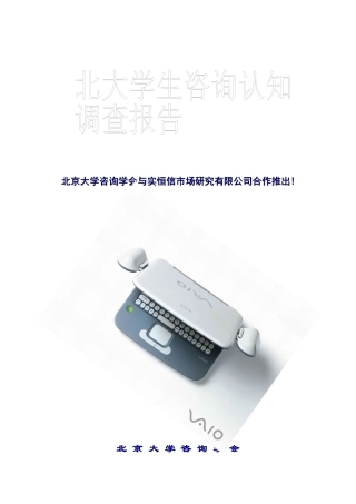 北京大学谘询产业认知调研报告