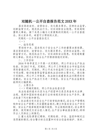 双随机一公开自查报告范文20XX年