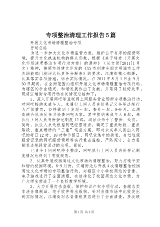 专项整治清理工作报告5篇 