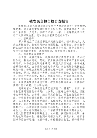 镇农民负担自检自查报告 