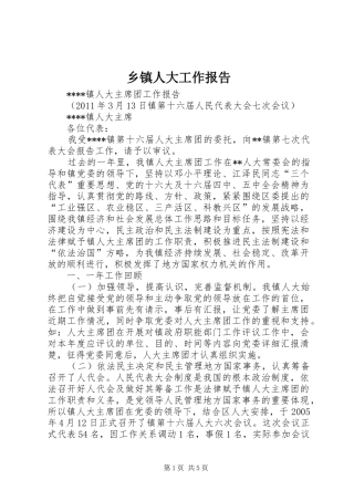 乡镇人大工作报告 