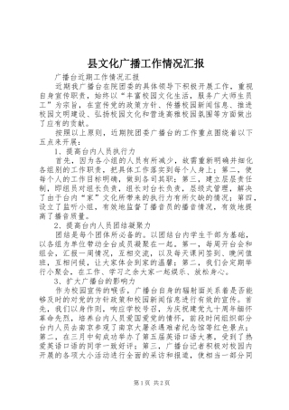 县文化广播工作情况汇报 