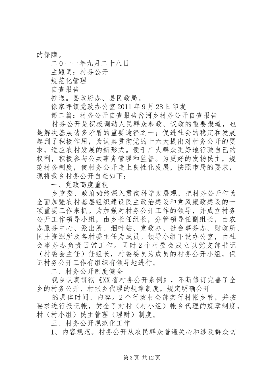 村务公开自查报告 _第3页