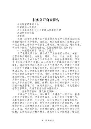 村务公开自查报告 
