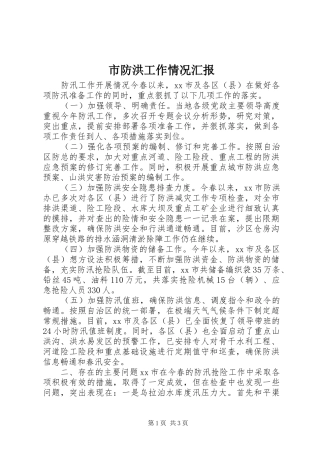市防洪工作情况汇报 