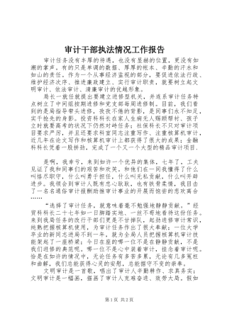 审计干部执法情况工作报告 