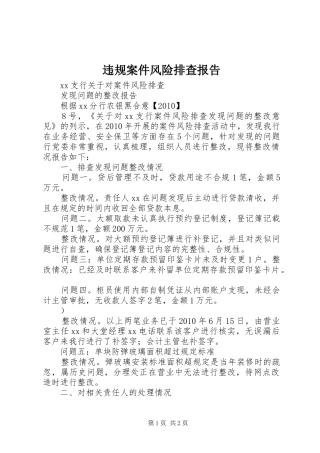 违规案件风险排查报告 
