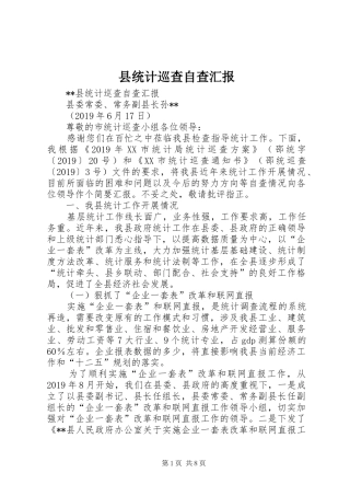县统计巡查自查汇报 