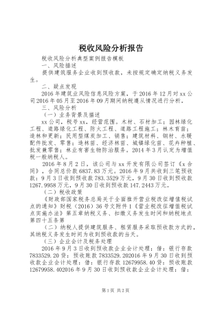 税收风险分析报告 