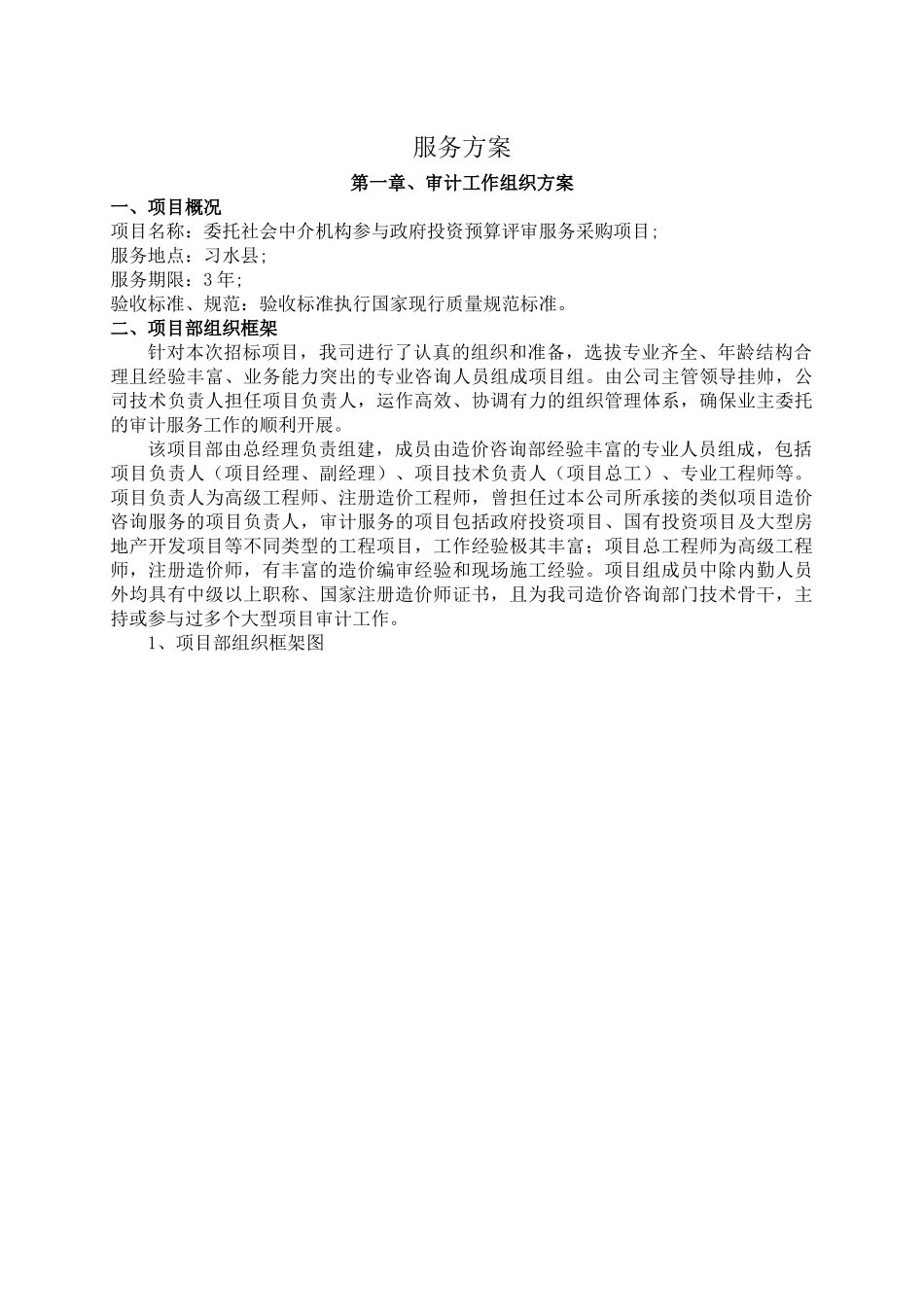 审计服务方案_第1页