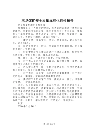 玉龙煤矿安全质量标准化自检报告 