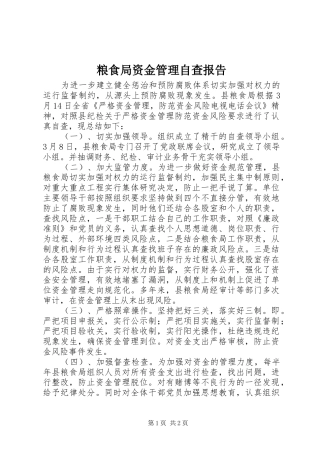 粮食局资金管理自查报告 