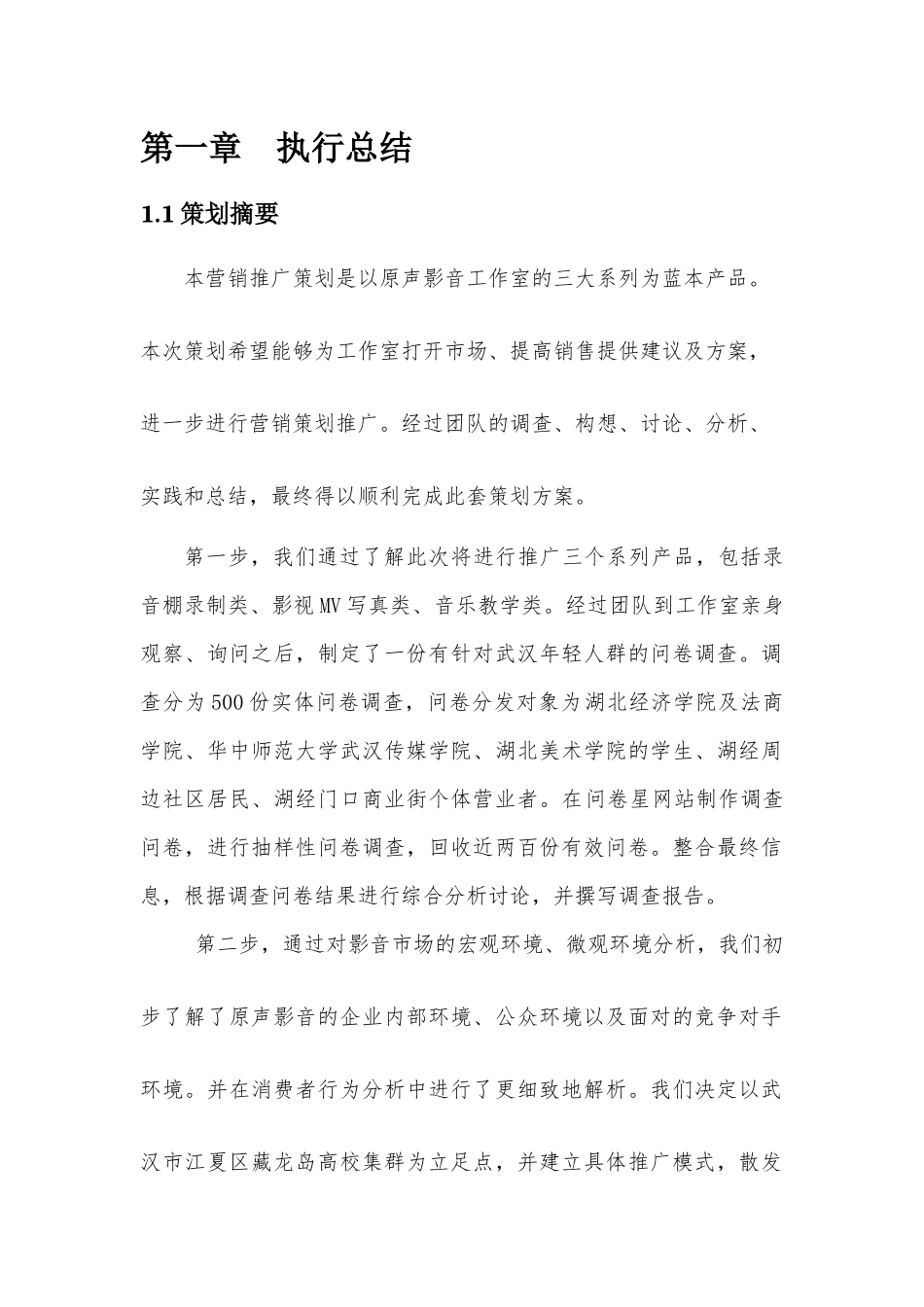 原声影音营销策划书_第3页