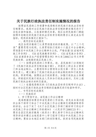 关于民族行政执法责任制实施情况的报告 
