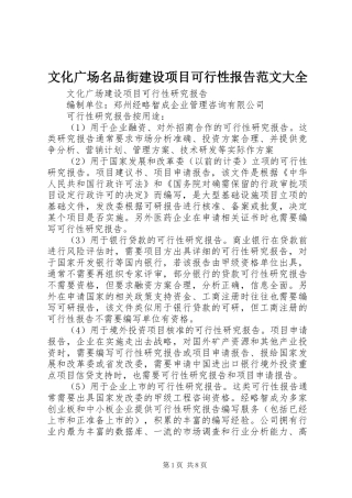 文化广场名品街建设项目可行性报告范文大全 