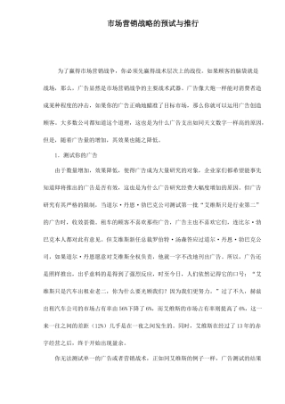 市场营销战略的预试与推行8
