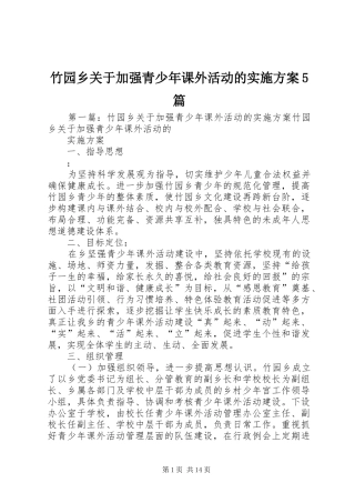竹园乡关于加强青少年课外活动的实施方案5篇