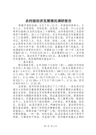 农村级经济发展情况调研报告1 